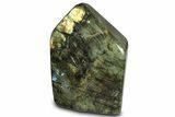 Flashy, Free-Standing Polished Labradorite - Madagascar #274648-1